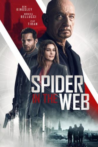     / Spider in the Web (2019)